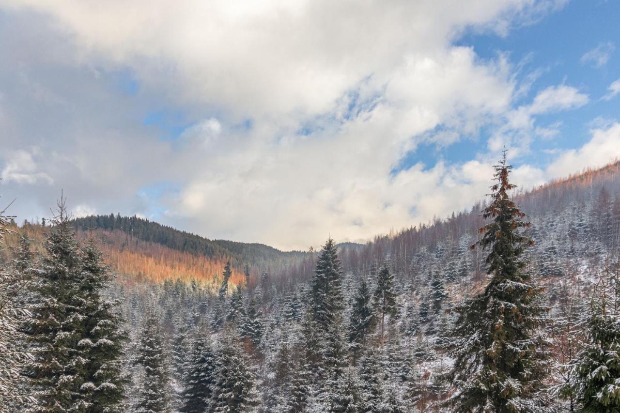 Konopka Forest Home & Spa Μπούκοβελ Εξωτερικό φωτογραφία
