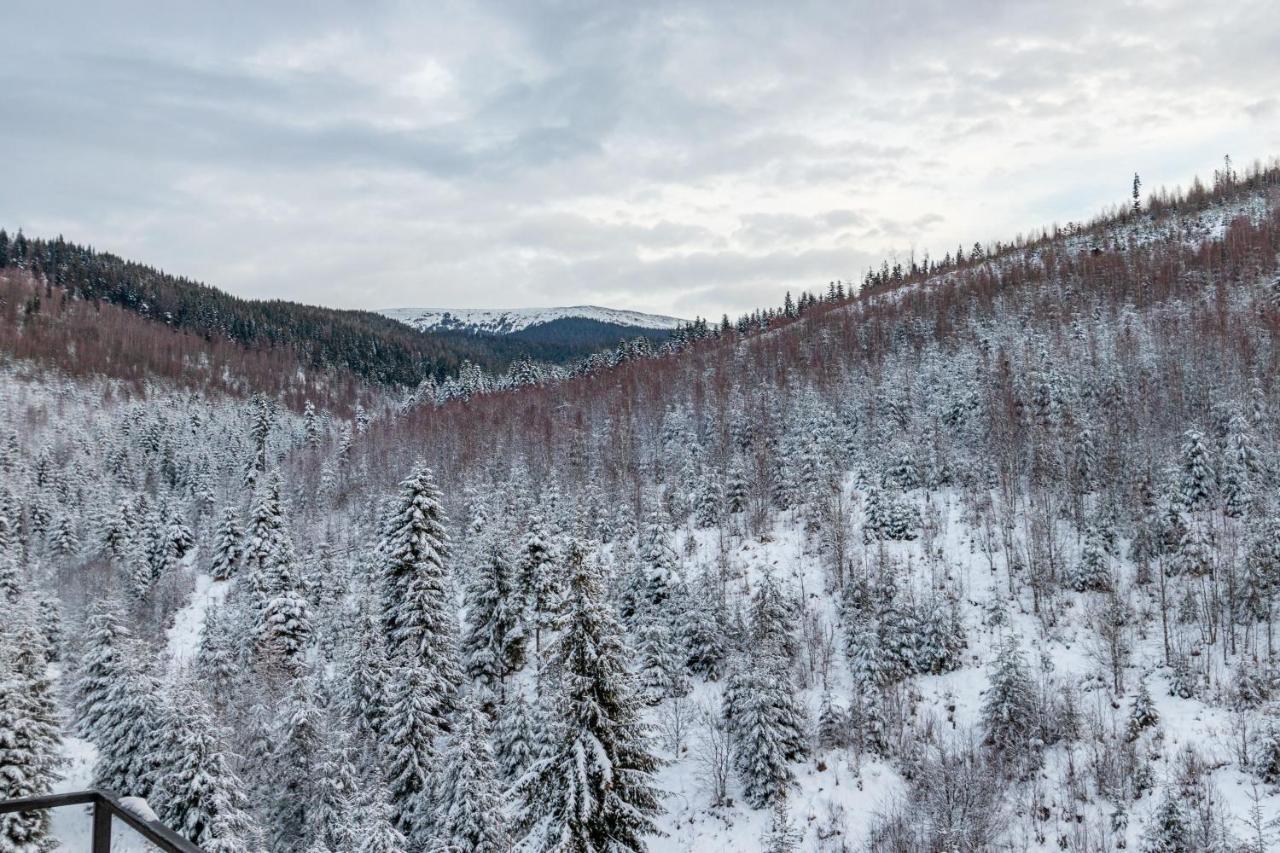 Konopka Forest Home & Spa Μπούκοβελ Εξωτερικό φωτογραφία